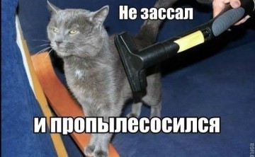 "Мыздобулы" в картинках. Смешных и не очень...10.07.2017