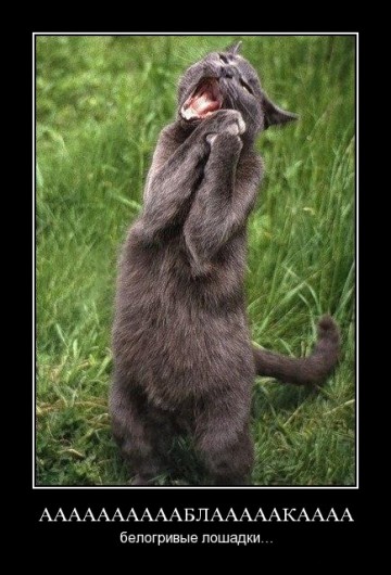 "Мыздобулы" в картинках. Смешных и не очень...10.07.2017