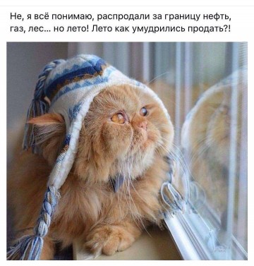 "Мыздобулы" в картинках. Смешных и не очень...10.07.2017