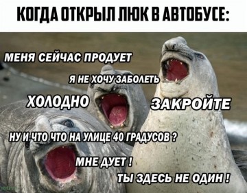 "Мыздобулы" в картинках. Смешных и не очень...10.07.2017