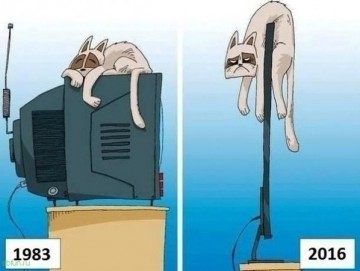 "Мыздобулы" в картинках. Смешных и не очень...10.07.2017