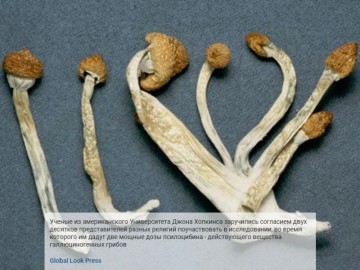 Абсурдные новости. 10 июля 2017 года