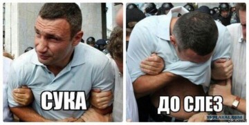 "Институт Украины"? А, опять что-то украсть собрались!