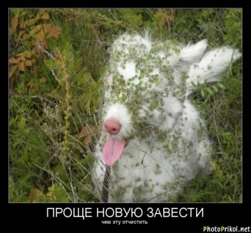 "Мыздобулы" в картинках. Смешных и не очень...12.07.2017