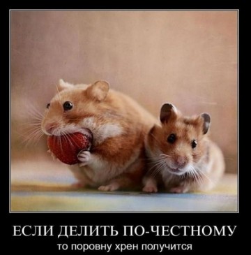 "Мыздобулы" в картинках. Смешных и не очень...12.07.2017