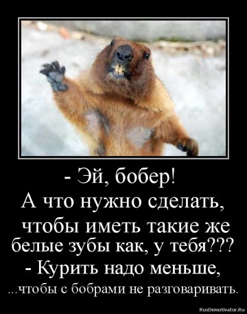 "Мыздобулы" в картинках. Смешных и не очень...12.07.2017