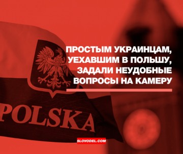 Простым украинцам, уехавшим в Польшу, задали неудобные вопросы на камеру