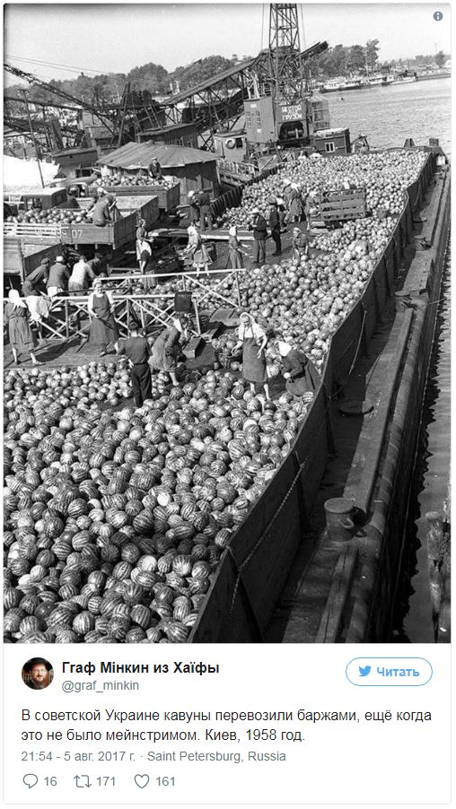 "Мыздобулы" в картинках. Смешных и не очень...06.08.2017