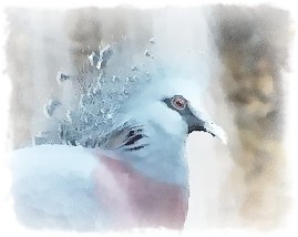 Язык мой... (ироническое)