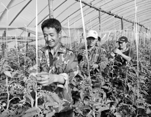 Китайцы уходят с российского Дальнего Востока