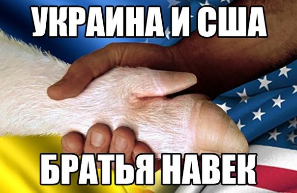 "Мыздобулы" в картинках. Смешных и не очень...11.08.2017