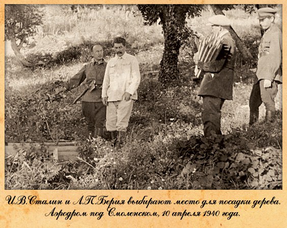 Голодо-Мория. Лев Щаранский