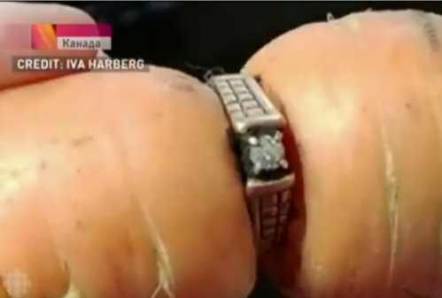 В Канаде выросшая морковка вернула владелице кольцо, которое она потеряла 13 лет назад.