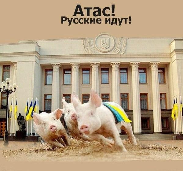 "Мыздобулы" в картинках. Смешных и не очень...27.08.2017