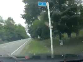 Видео расстрела депутата в Чечне появилось в сети