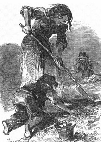 Эта уродливая, нищая, варварская Европа… Олесь Бузина