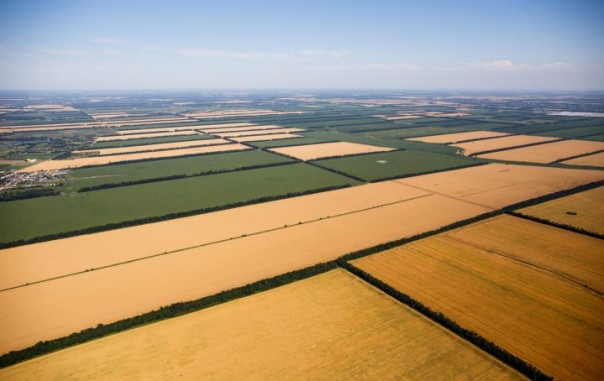 Прокуроров заинтересовали 6 млн "квадратов" земли кубанской чиновницы