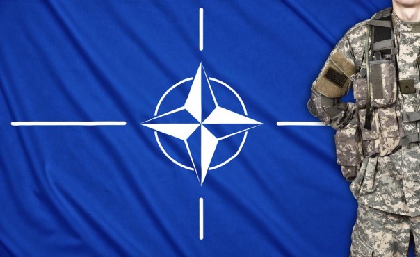 Боевой символ НАТО не оправдал ожиданий: ежик сдулся?