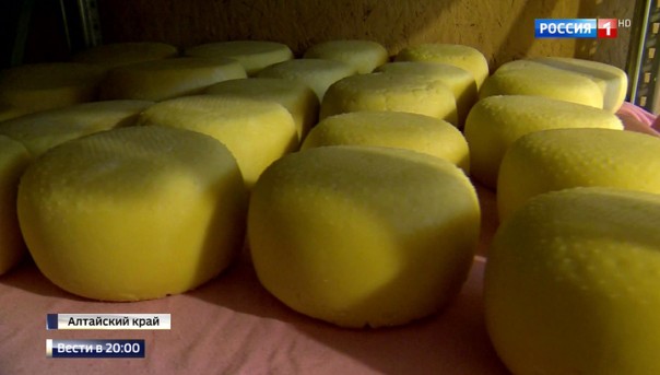 В России научились делать итальянский сыр и разводить норвежскую форель