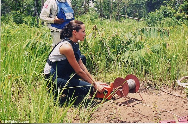Британские сапёры освободят заминированный Донбасс