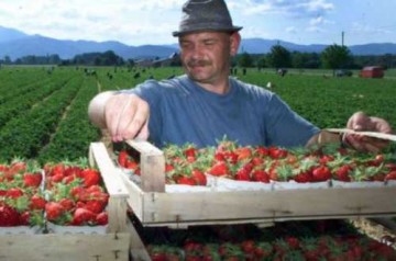 В Польше и Венгрии обсуждают проблему украинских трудовых мигрантов