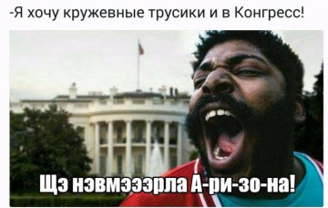 Самая правдивая правда об американском майдане