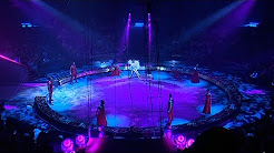 Дуэт из России и Украины стал победителем фестиваля циркового искусства «Идол»