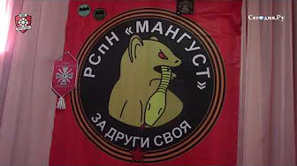 Казак "Лютый" о войне диверсантов на Донбассе