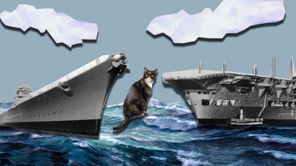 Непотопляемый Сэм: кот, "потопивший" линкор, три эсминца и авианосец