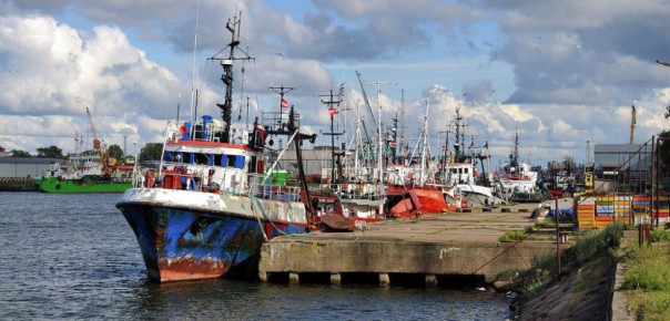 Новые возможности российского терминала «Бронка»: порты Прибалтики могут лишиться работы к 2020 году