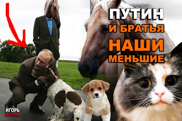 Путин и братья наши меньшие