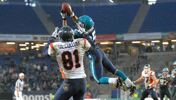 Российские биологи нашли новый способ лечения черепно-мозговых травм