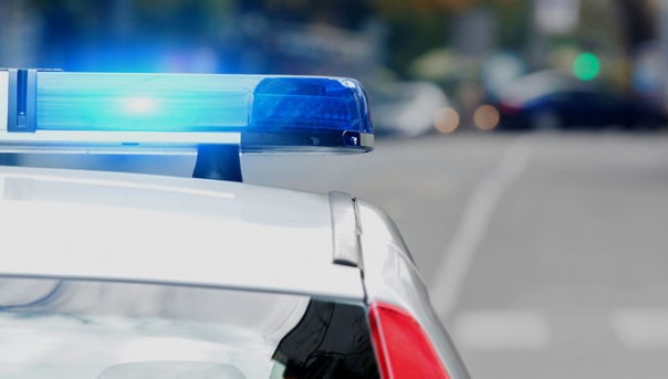 ФСБ и МВД пресекли поставки оружия с Украины