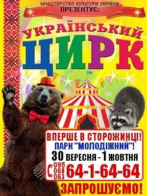 На Буковине енотов, отметивших побег из цирка коньяком с пивом, лечат третий день от похмелья