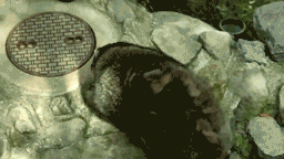 Герои дня на YouTube: дозаправка ворона и скромный енот с хорошими манерами