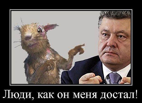 Анекдоты про Руину и не только