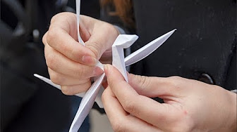 Во всех учебных учреждениях Донбасса прошла акция «Белые Журавли»