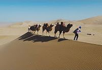 Россия и Китай. Путь через века