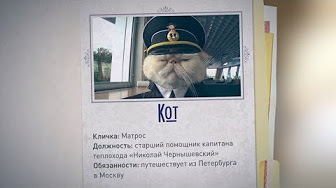 Отдел хвостатых кадров: животные, которые работают на человеческих должностях