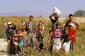 На территории Сирии будет создана курдская автономия