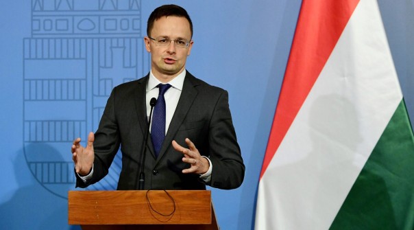 Украина нагнетает и обвиняет Венгрию.... в нацизме
