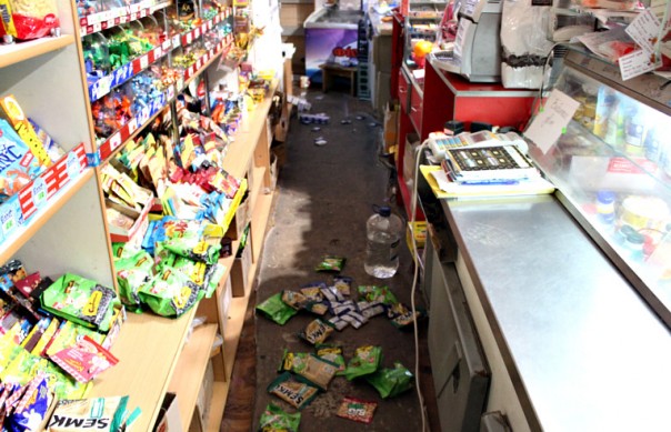 На Буковине енотов, отметивших побег из цирка коньяком с пивом, лечат третий день от похмелья