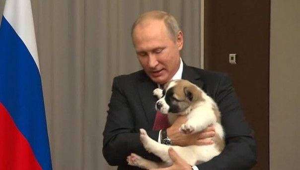 Президент Туркменистана подарил Владимиру Путину на день рождения щенка алабая
