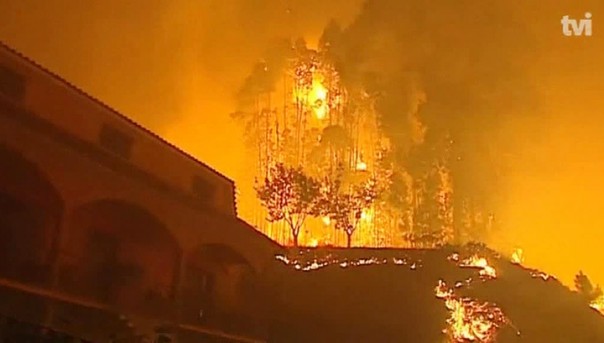 Возросло число жертв лесных пожаров в Испании и Португалии. В Португалии объявили трехдневный траур по жертвам лесных пожаров