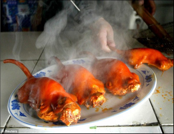 Каклизм это заразно: Голландские СМИ рассказали, что москвичи из-за санкций едят крыс