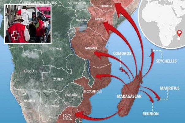 ВОЗ объявила об опасности распространения чумы с Мадагаскара по всему миру