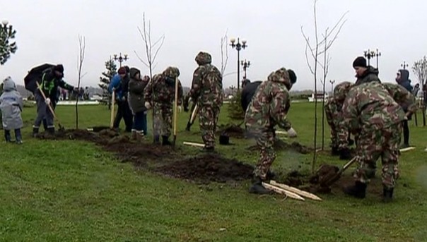 "Герои среди нас": в России появятся аллеи в честь защитников родины