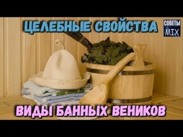 Какие веники для бани существуют. Виды банных веников, их целебные свойства и особенности