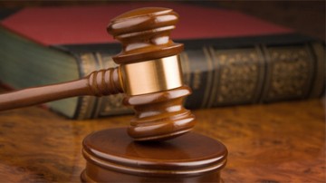 Итальянка добилась оплаты больничного по уходу за собакой