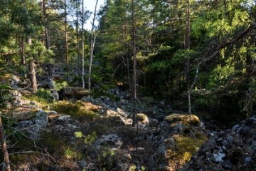 Под Петербургом восьмилетняя девочка объявила себя «шахидкой»